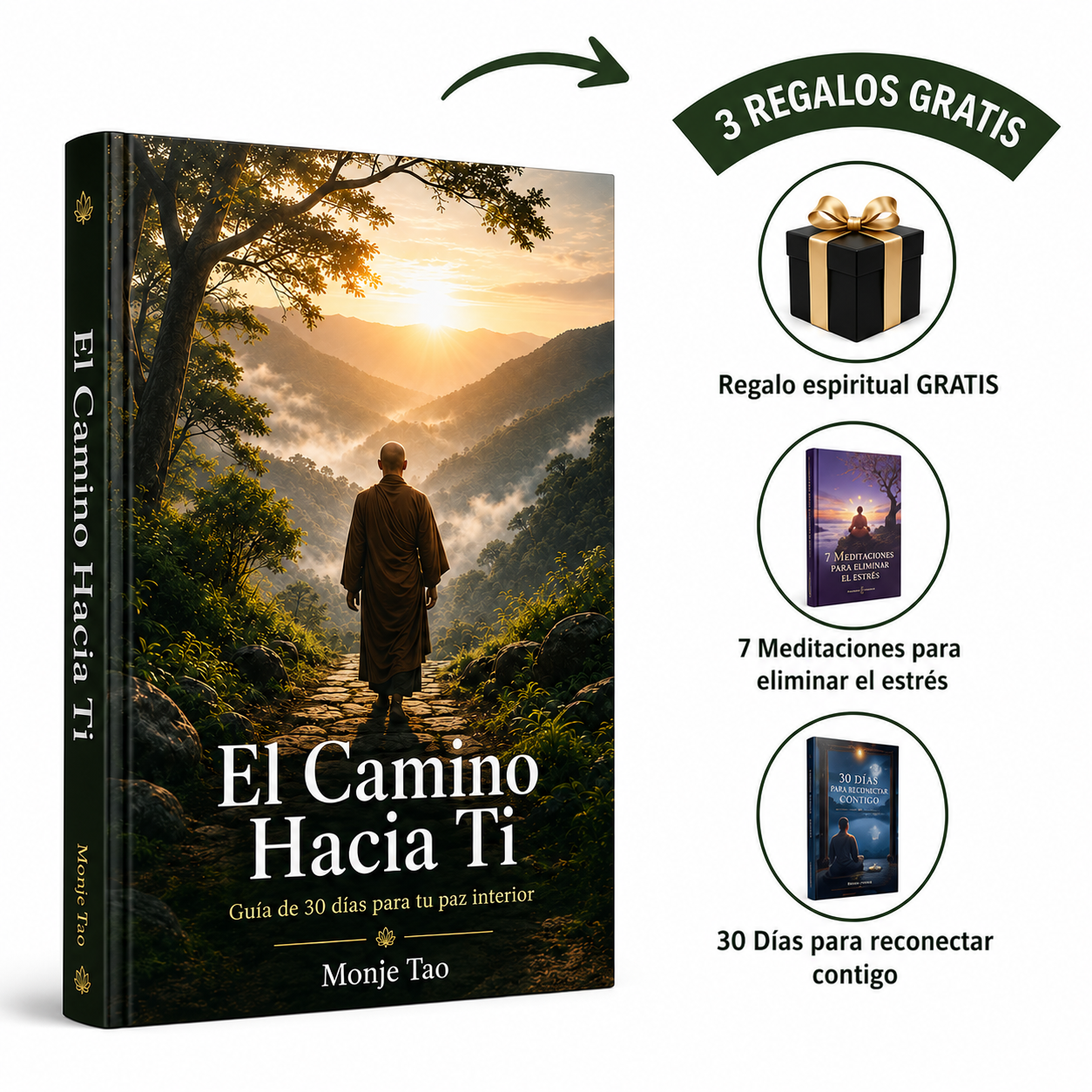 El Camino Hacia Ti